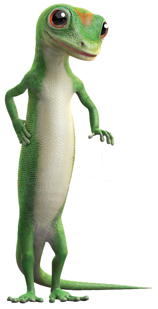 GEICO Authorized Agent